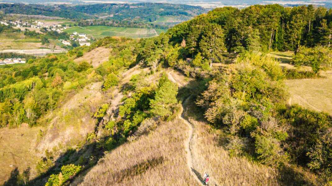 Mountain biking in Perl in Saarland: playground in the border triangle