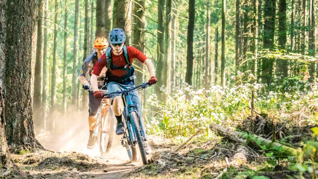 Mountain biking in Freisen in the Saarland: Sharkfins on the Füsselberg