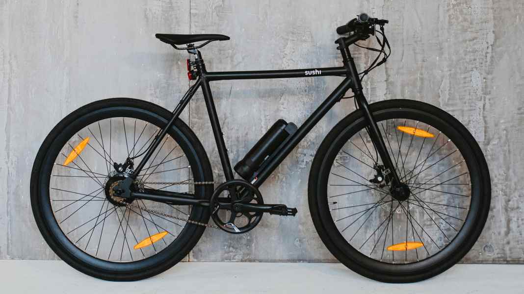 Sushi Bike test: What can an e-bike for €1,000 do?