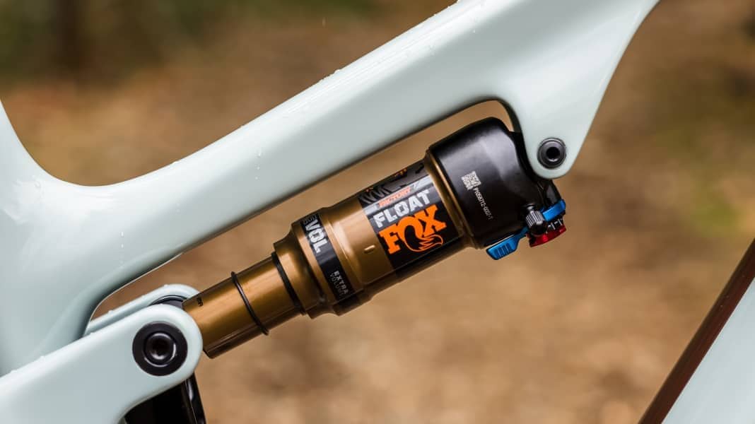 New distribution partnership: Cosmic Sports takes over distribution shares from Fox