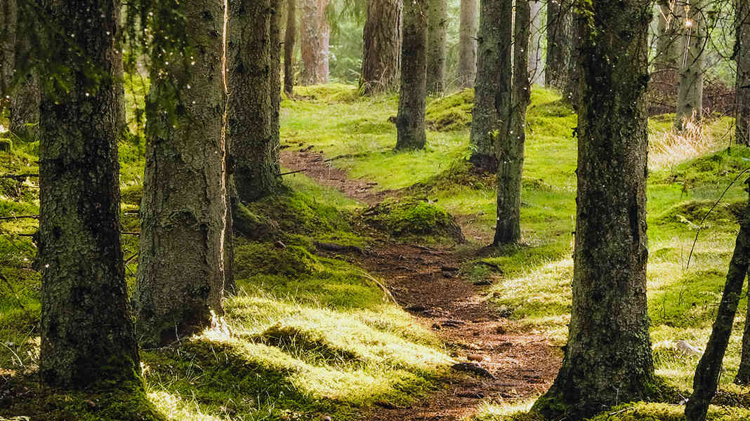 Naturschutzbund (NaBu) reagiert auf BIKE-Artikel: MTB-Einschränkungen nur eine Formulierungs-Panne?