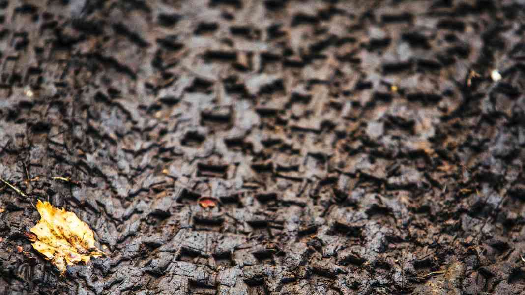 Bike knowledge: What you should definitely know about MTB tyres!