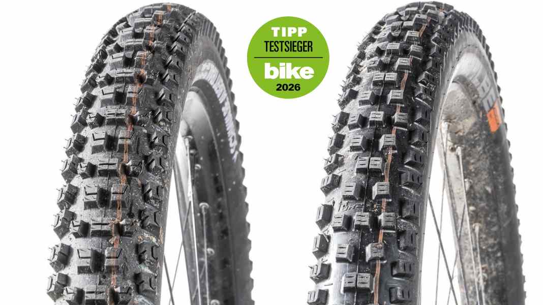Trail-Reifen im Test: Testsieg für Schwalbe Albert und Nobby Nic?