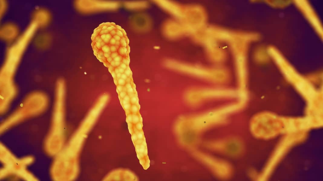 Tetanus - die unterschätzte Gefahr: Warum Impfen wichtig ist