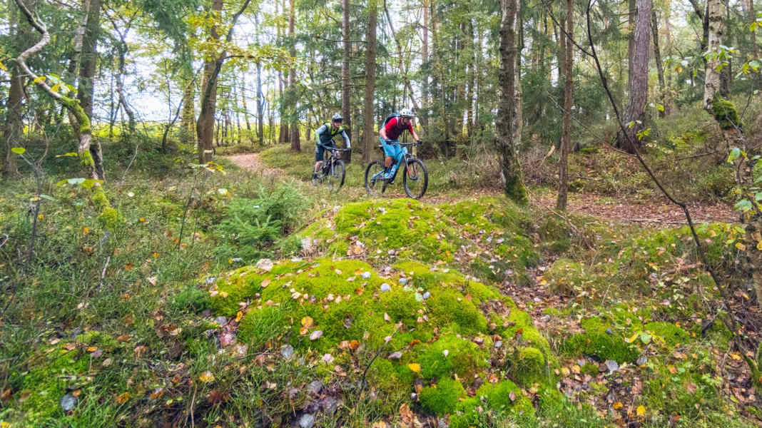 Trans-Bayerwald auf dem Pandurensteig: GPS-Daten zur 3-tägigen Trans-Bayerwald