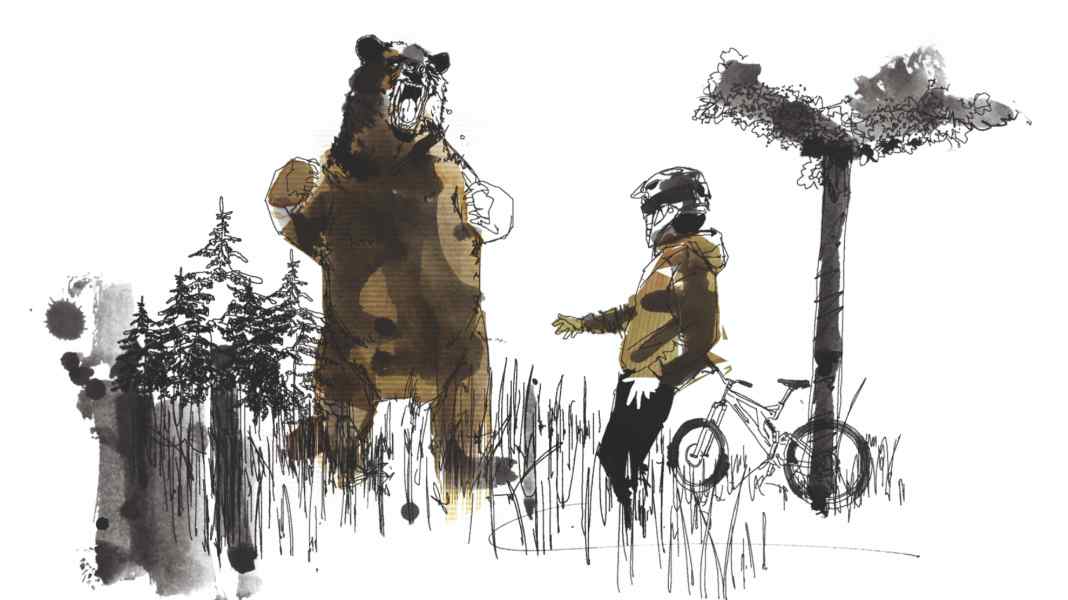 Bikers and bears: Stay cool or get eaten?