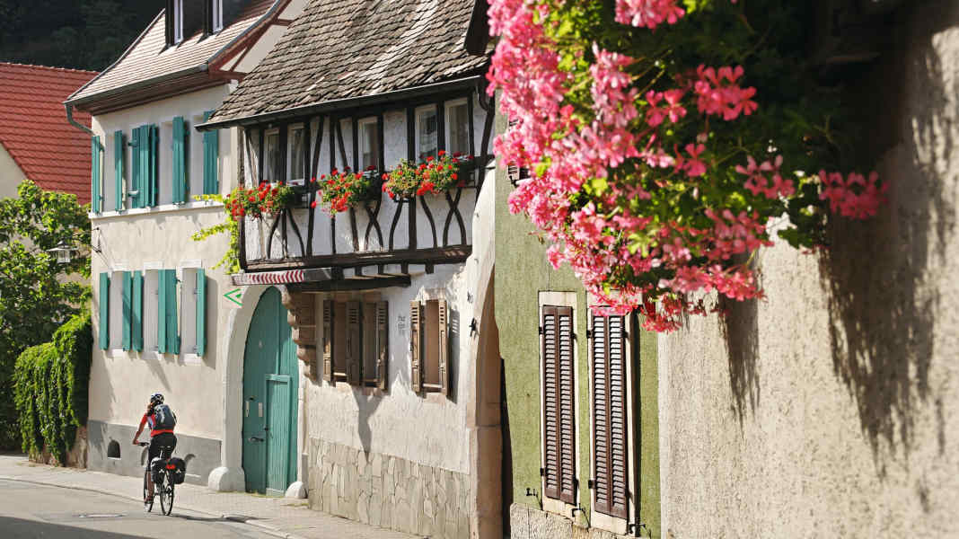 266 kilometre cycle tour through the Palatinate