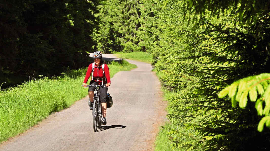 Green Roof cycle route: through the Bavarian and Upper Palatinate Forest