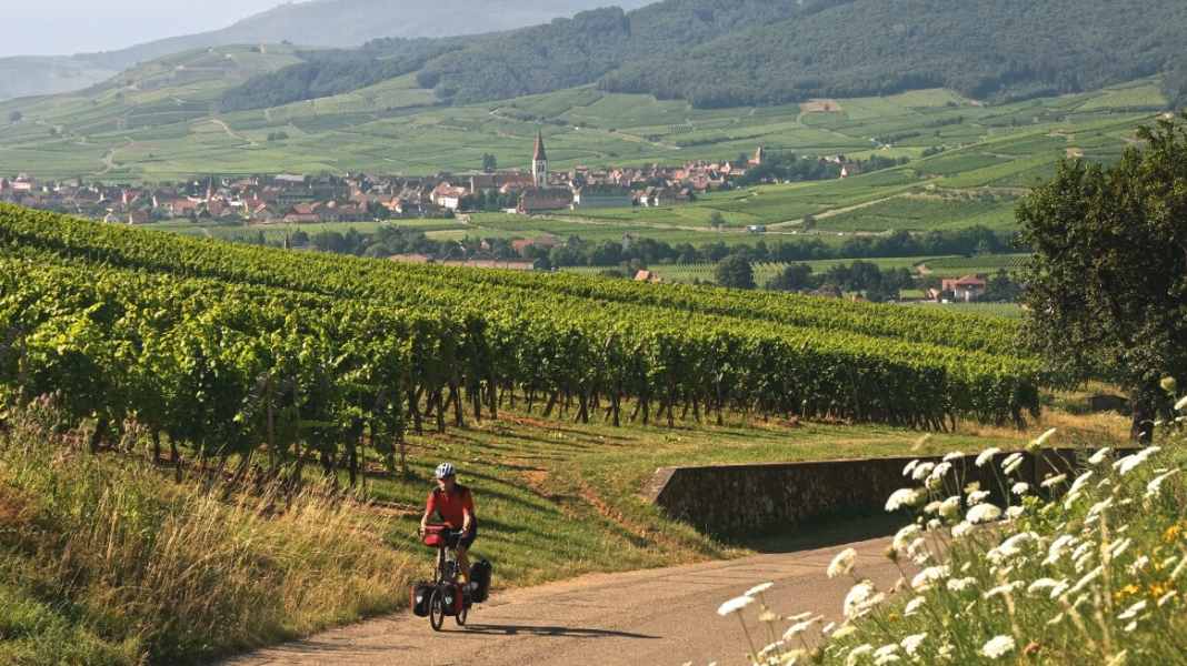 530 kilometres through half-timbered houses and wine country