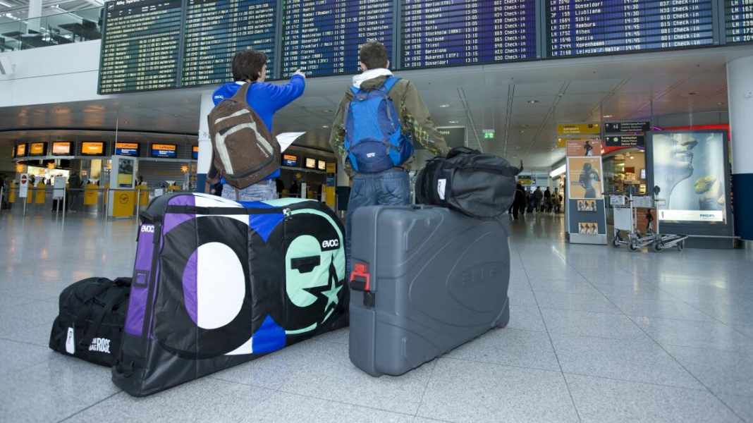 Transport bags and cases for bikes in comparison