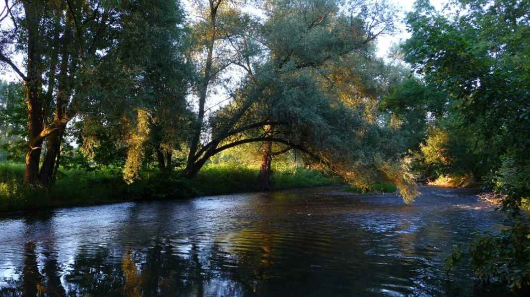 Through the idyllic river valley from Willingen to the Weser