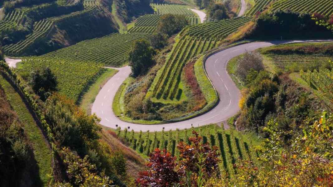Sunny cycle tours in the south-west of Baden-Württemberg