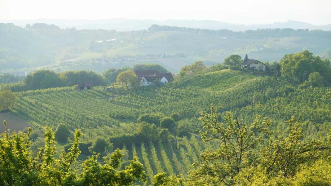 Auf dem Kraut-und-Rüben-Radweg durch die Pfalz