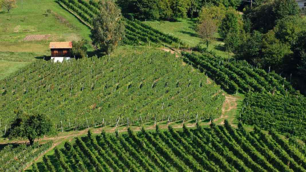 65 kilometres through Styrian Tuscany