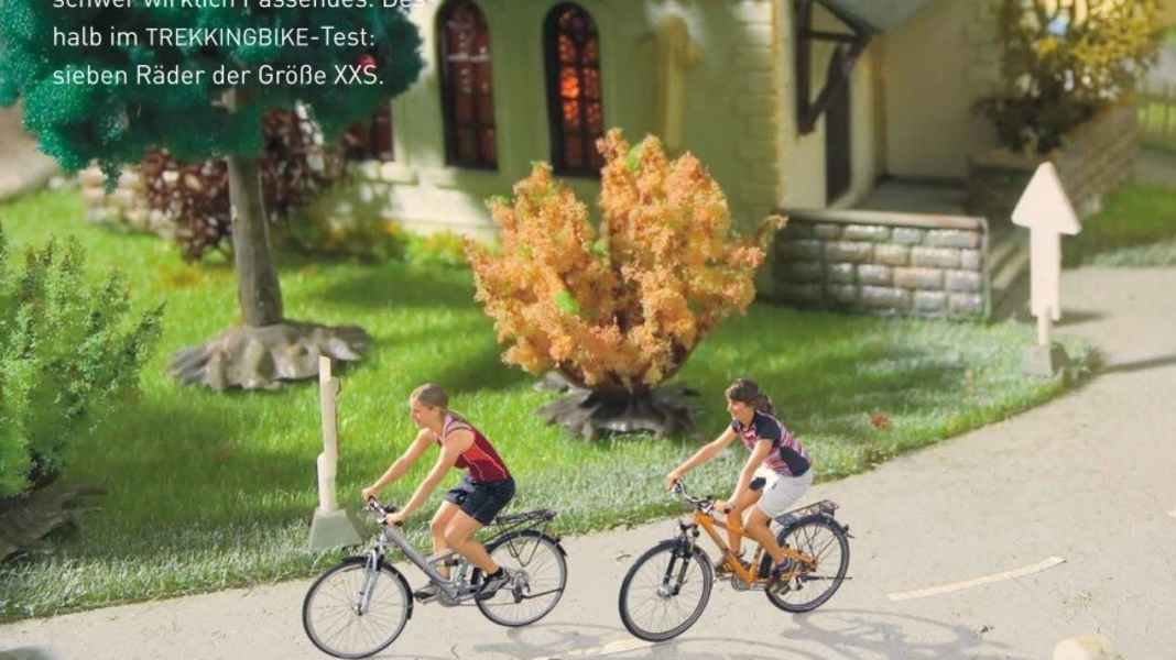 Sieben Trekkingbikes für Menschen unter 1,60 Meter.