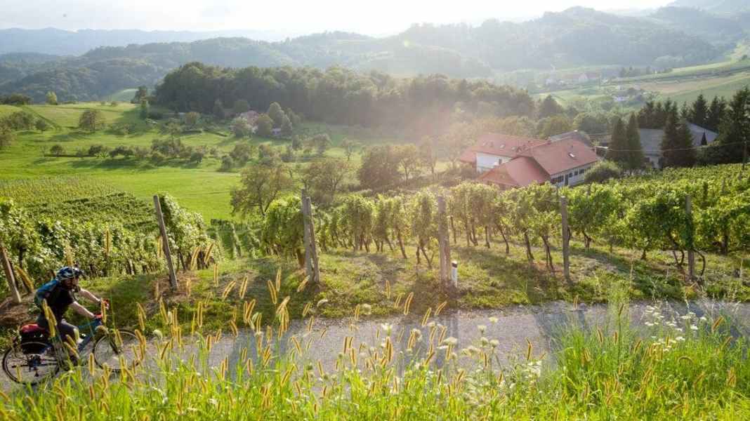 Graz-Maribor cycle path