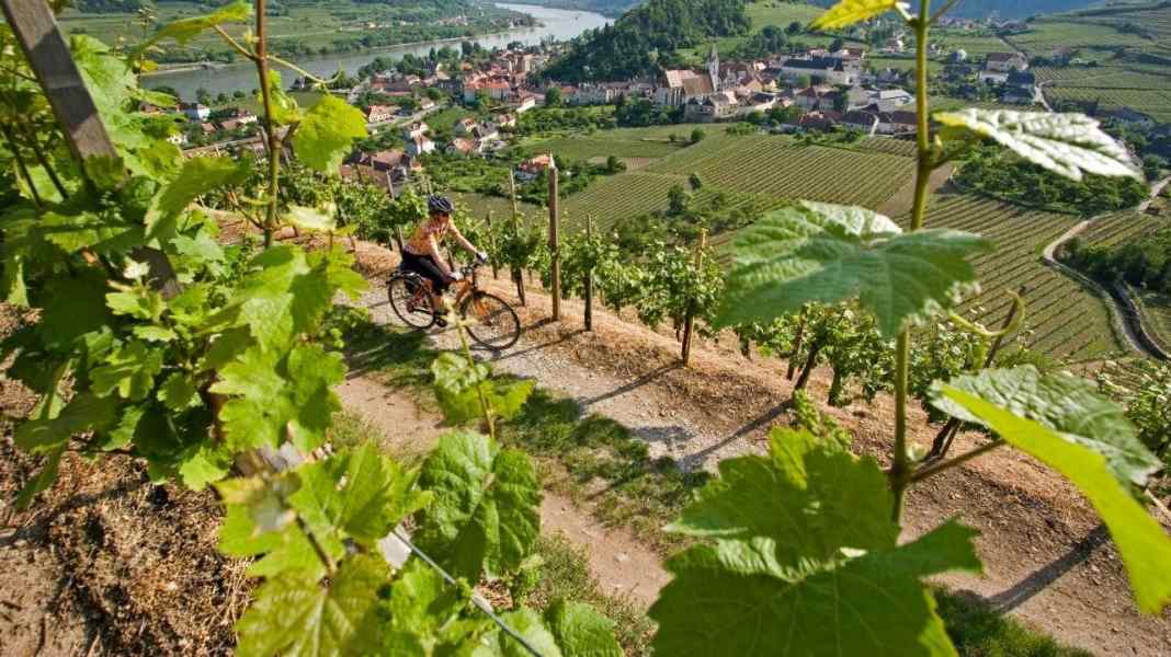 Cycle tour from Frankfurt to the Black Sea