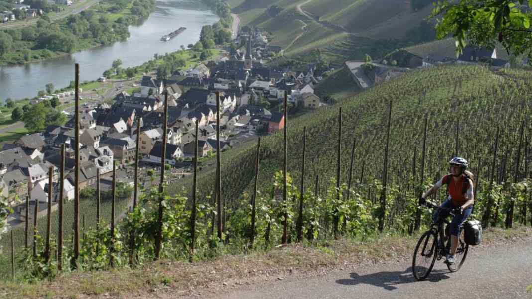 300 Fluss-Kilometer zwischen Metz und Koblenz