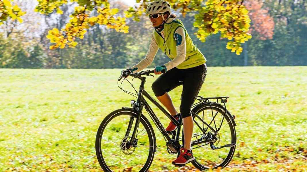 Contoura Pollino Pinion