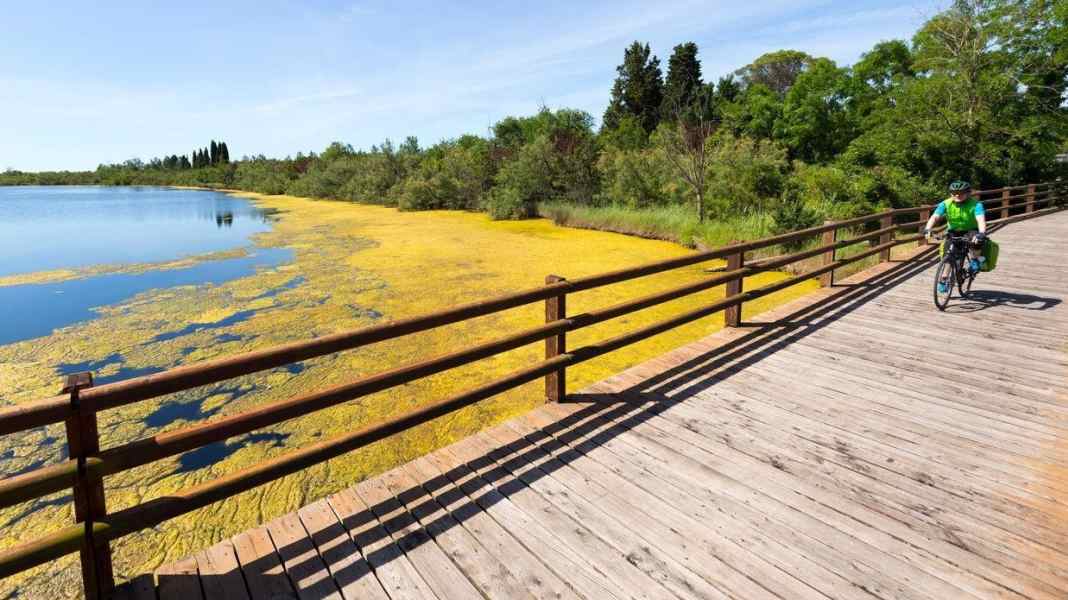 The other Adriatic - Cycling in Friuli