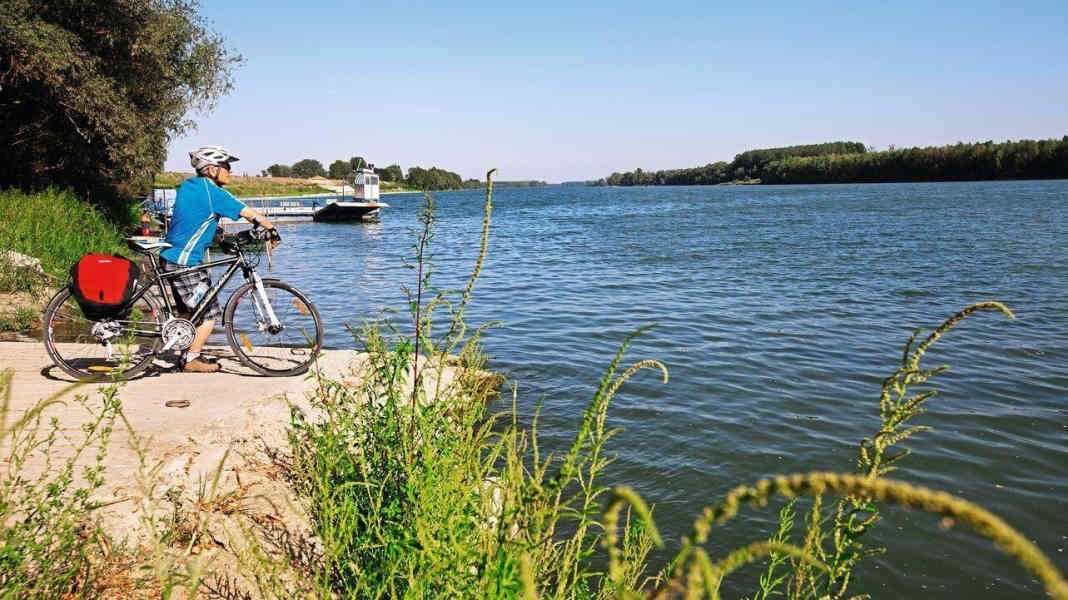 Cycle to the cultural cities on the Po
