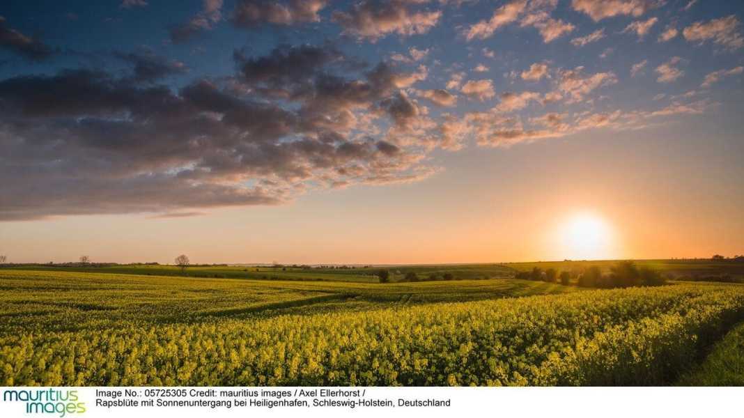 Pilgrimage route through the north of Germany