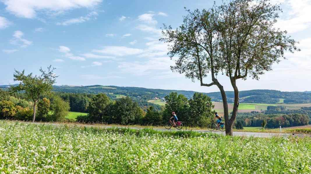 On the Paradise Route through southern Burgenland