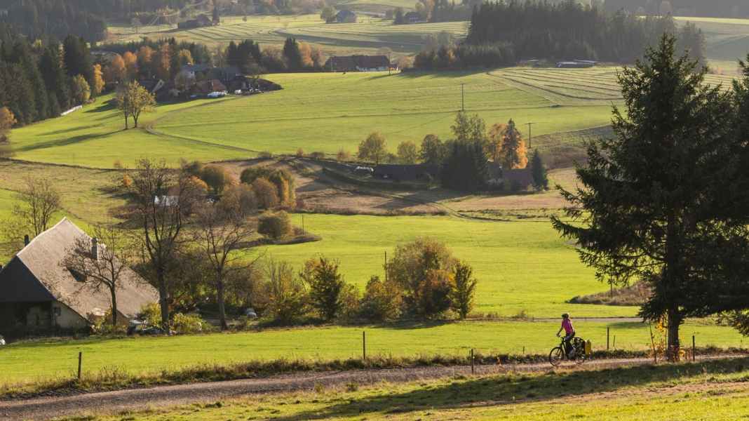 Star cycle tour from Freiburg