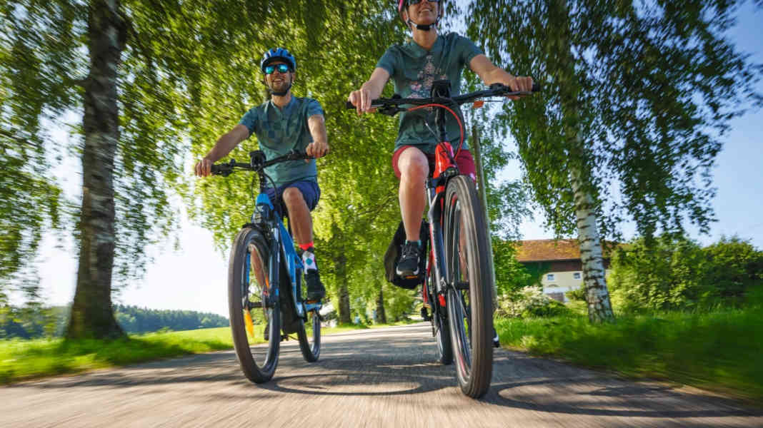 Sport utility e-bikes: 7 models in the test