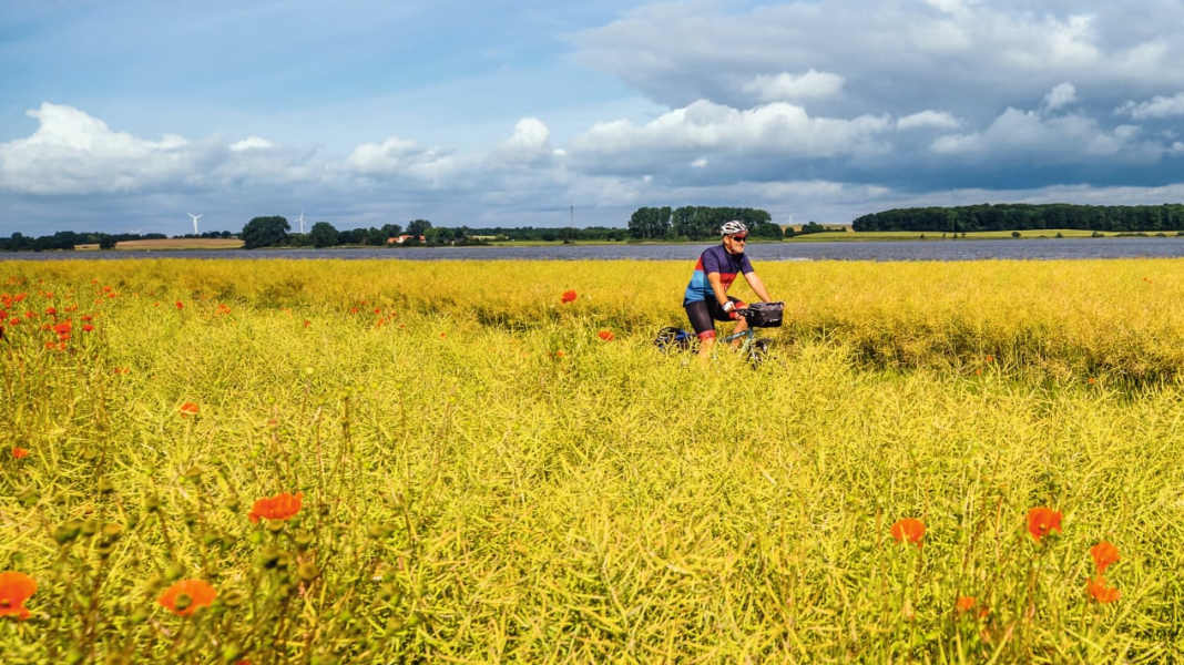 Wunderbare Schlei-Wege
