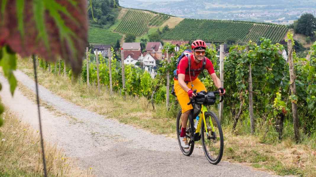 Fahrrad-Tour auf dem Badischen Weinradweg
