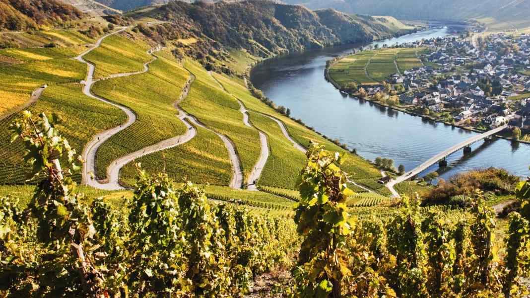 Cycling to Riesling: 7 Moselle cycle tours into the vineyards