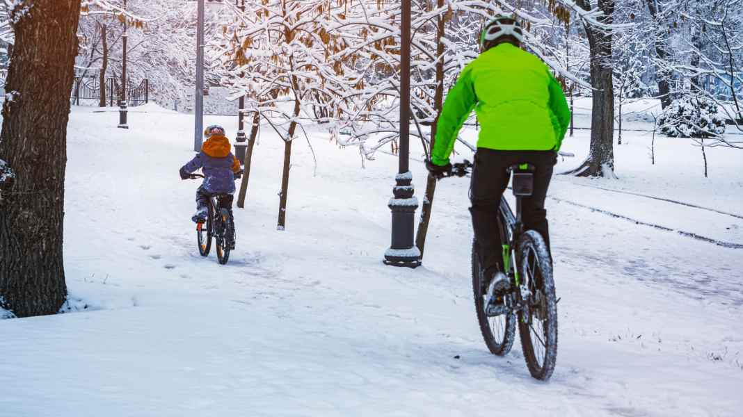 Pedalling for the immune system