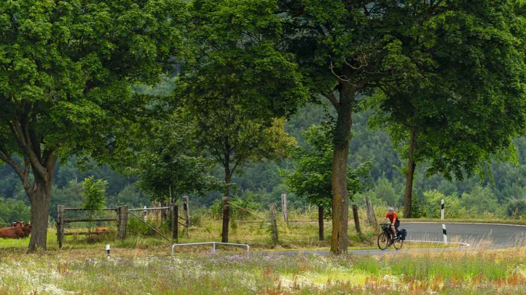 Zwei Tagestouren zwischen Weser und Bergland