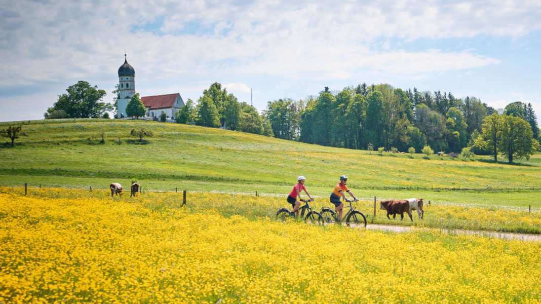 Travelling safely: How to avoid insect bites when cycling