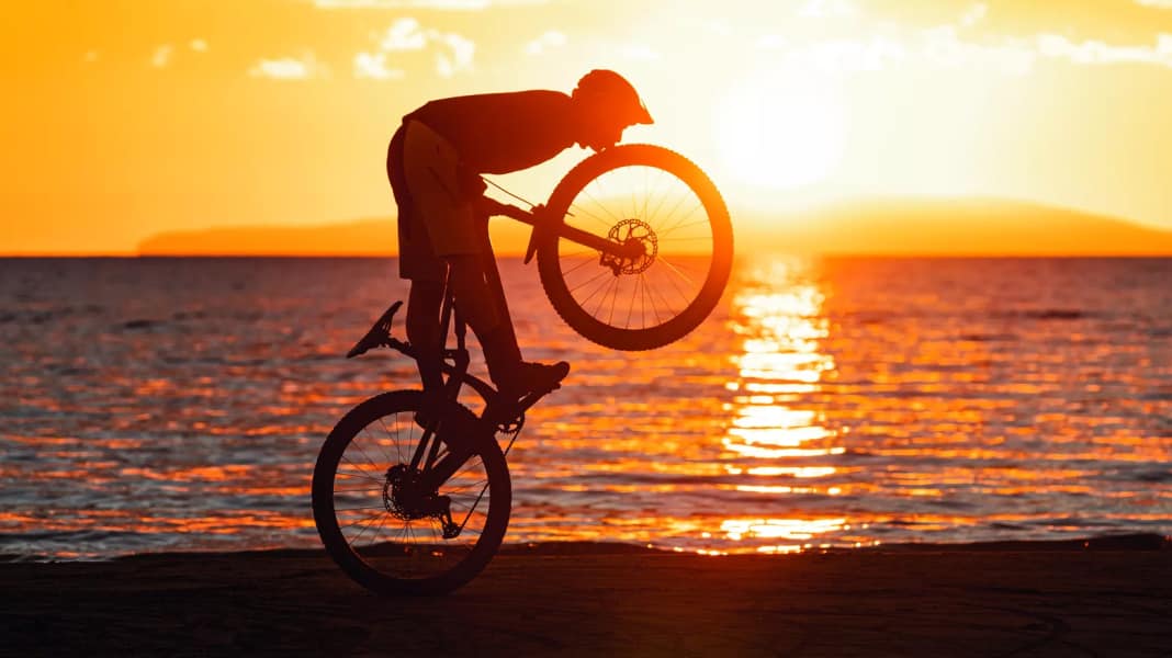 MTB tyre test: What are the best models for trail bikes?