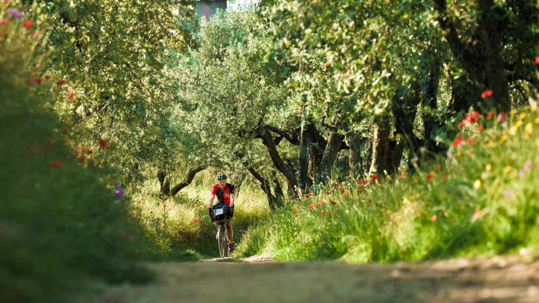 Bikepaking-Abenteuer auf dem Tuscany-Trail - In fünf Tagen mit dem Gravelbike durch die Toskana