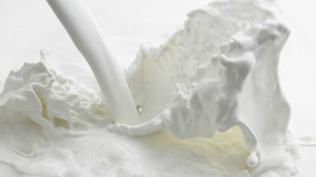 Studie: Milch mach Muckis