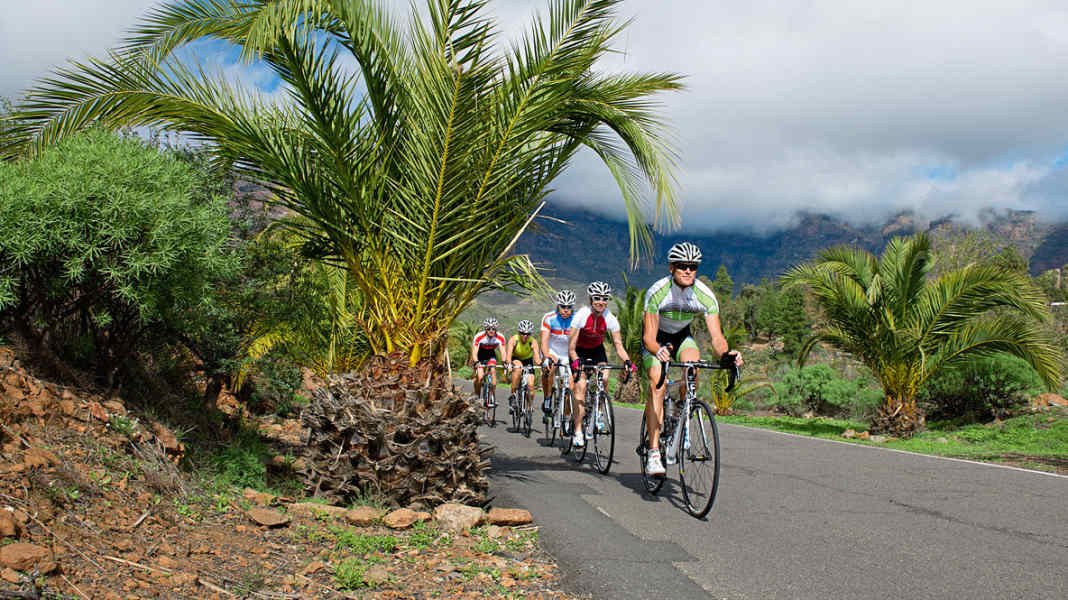 Road bike training camp: Mallorca & Co. - the best tips for training camps