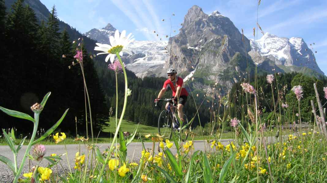 Climbs in Switzerland: Große Scheidegg - Große Scheidegg: Impressive panorama in the Bernese Oberland