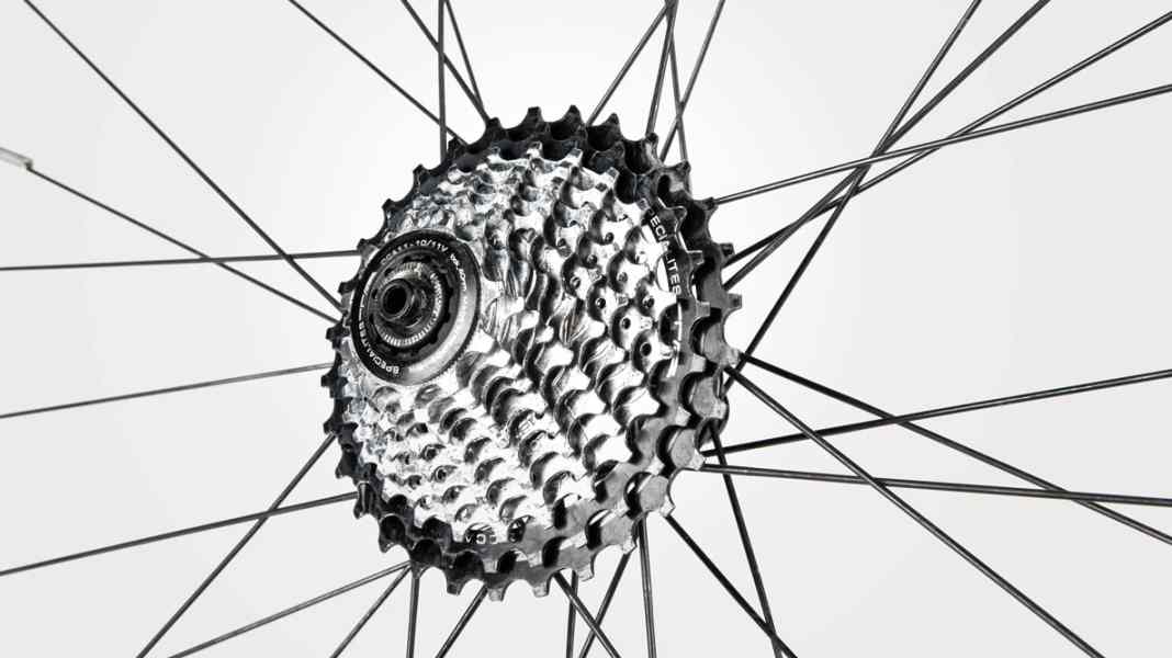 Test individuel : Cassette de Spécialités T.A.