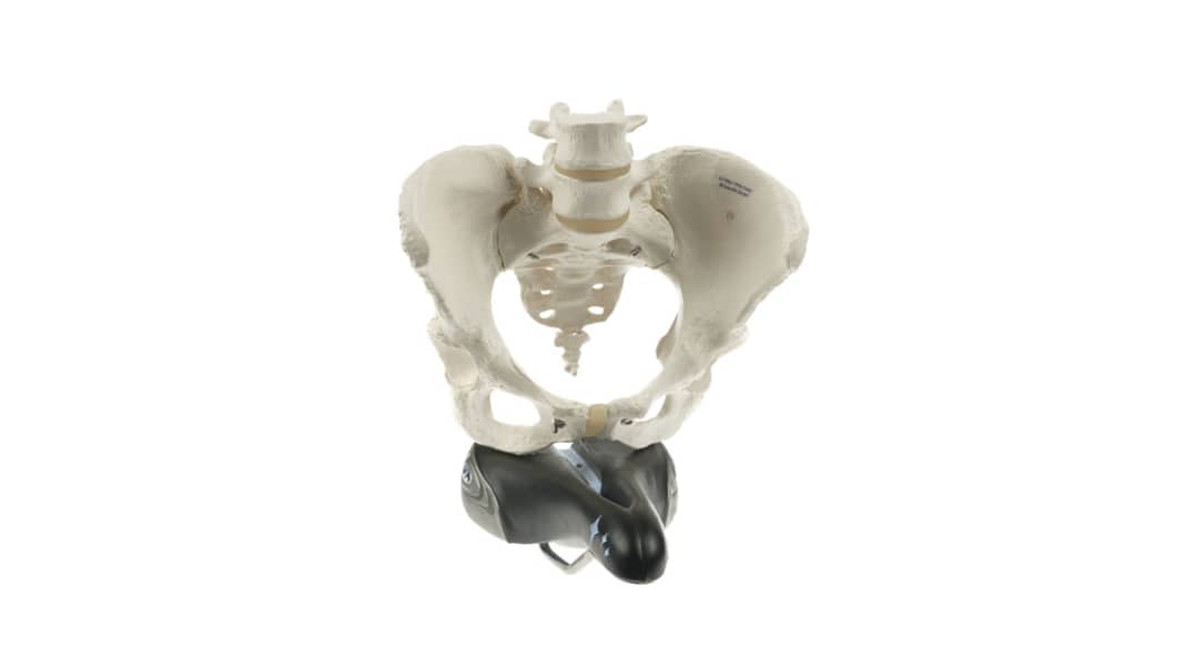 Faire du vélo en cas d'arthrose de la hanche