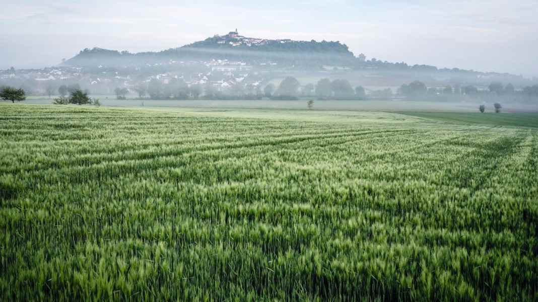Reise Deutschland: Rennradtouren im Marburger Land - Schönes Mittelhessen: Durch Marburgs bäuerliches Umland