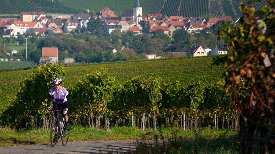 Deutschland: Rennradeln im Fränkischen Weinland um Würzburg - Mainfranken: Rennrad-Touren durch die Weinberge