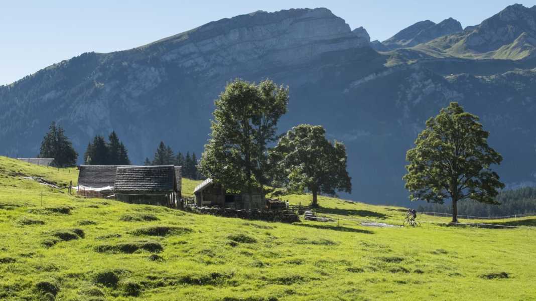 Suisse orientale : en vélo de cross à travers Saint-Gall