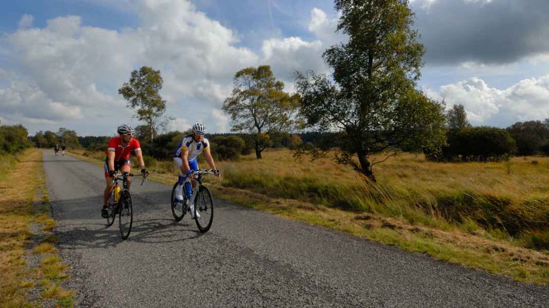 Eifel : Hautes Fagnes