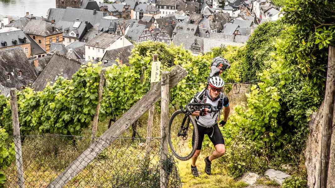 Germany, Moselsteig Trail: Cross-country cycling along the Moselle: In four stages from Trier to Koblenz
