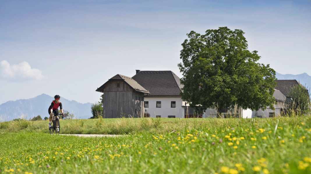 Rennradtouren in Oberösterreich - Tour 4: Von Wels an den Traunsee