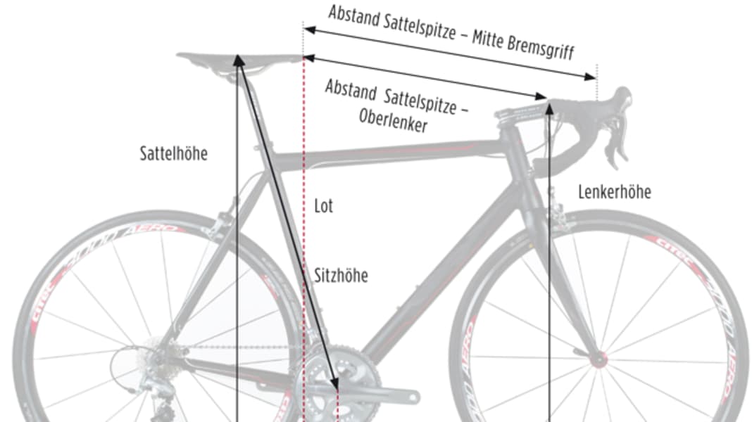 Rennrad-Kauf: Welche Rahmengröße beim Rennrad brauche ich?