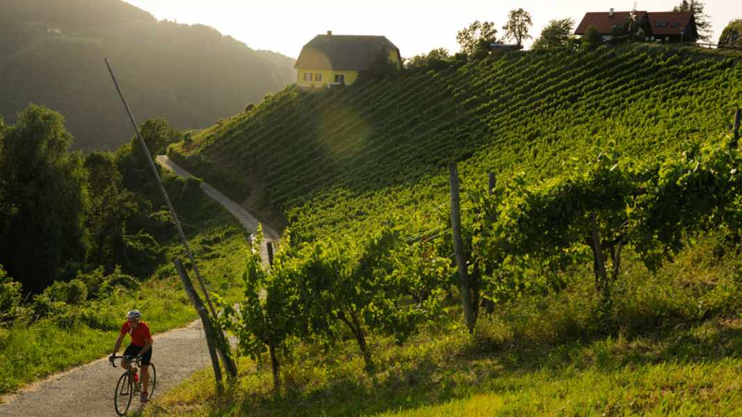 Austria: Styria (with GPS data)